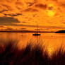 A cloudy Bay