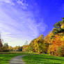 Jogging in autumn