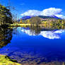 Spring at Loch Oich