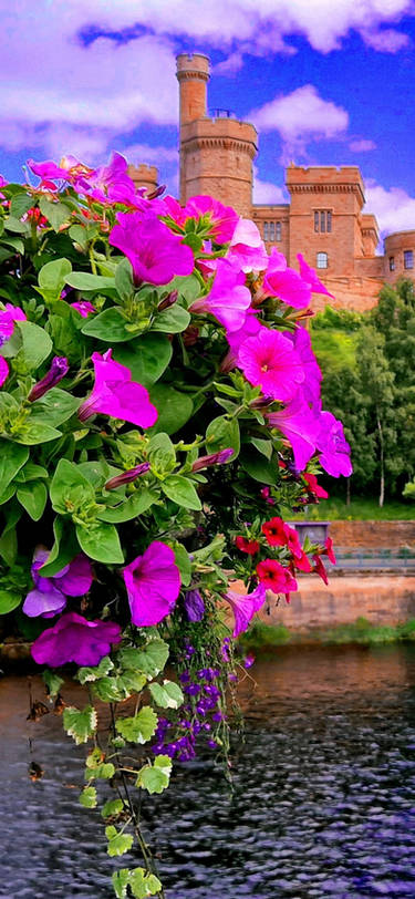 Inverness castle wallpaper pink