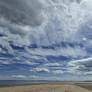 Watching the sky dance, muted