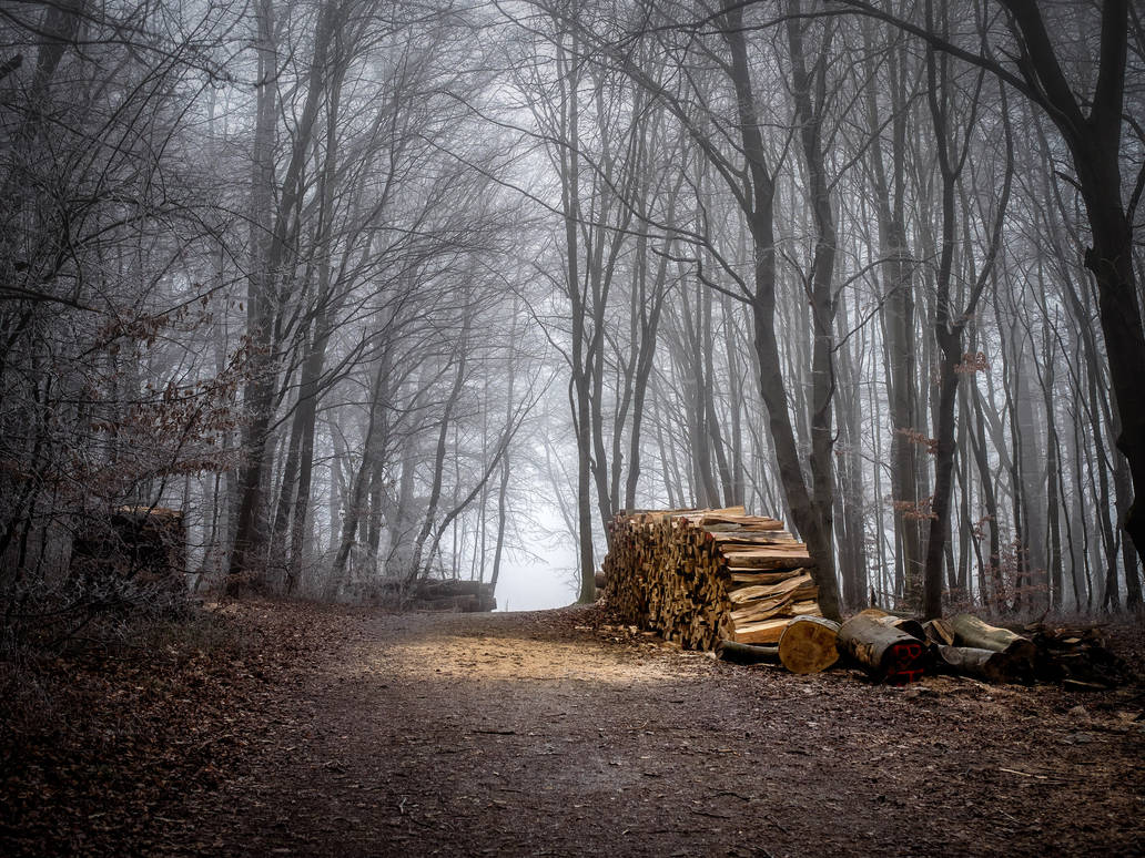 woodwork by 8moments woodwork by 8moments