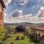 the garden - tuscany