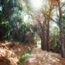 Background - alley tuscany