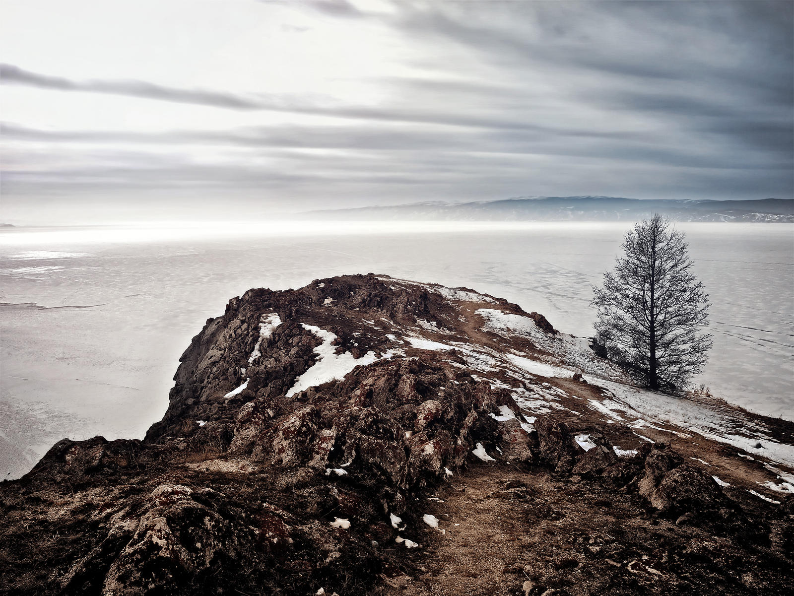 - It can be lonely on the top - susurrates a tree.