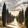 background - tuscany alley
