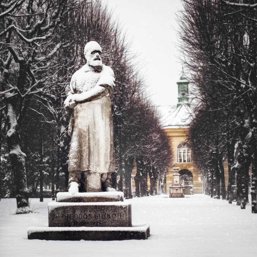 Billroth maybe does not like snow. by 8moments