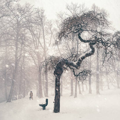 Resilience. Inviting winter for some tea.