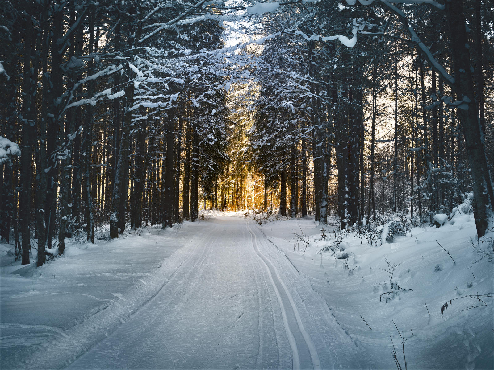 Cross country skiing towards the sun.