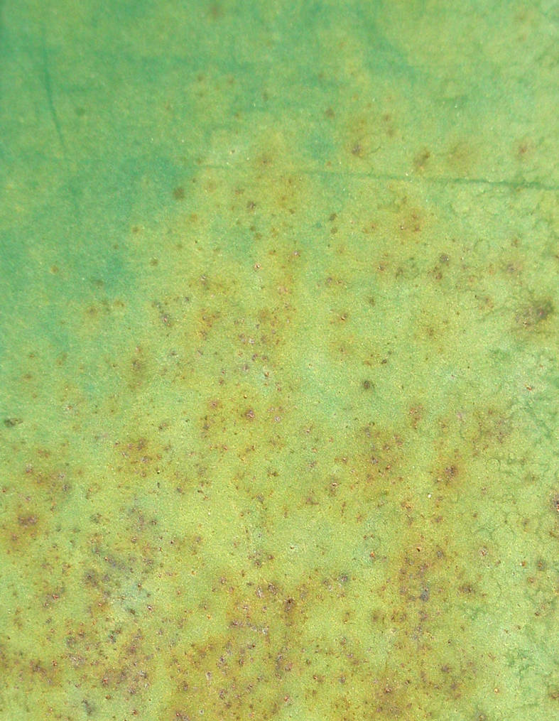 Texture Rust 07 by Guardianofthenight on DeviantArt