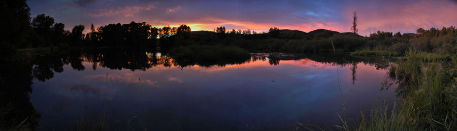 Leech pond