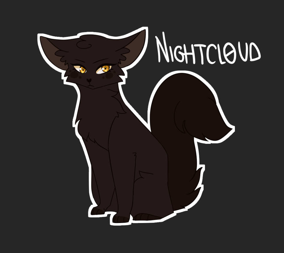 Nightcloud by Nikycookie23 on DeviantArt
