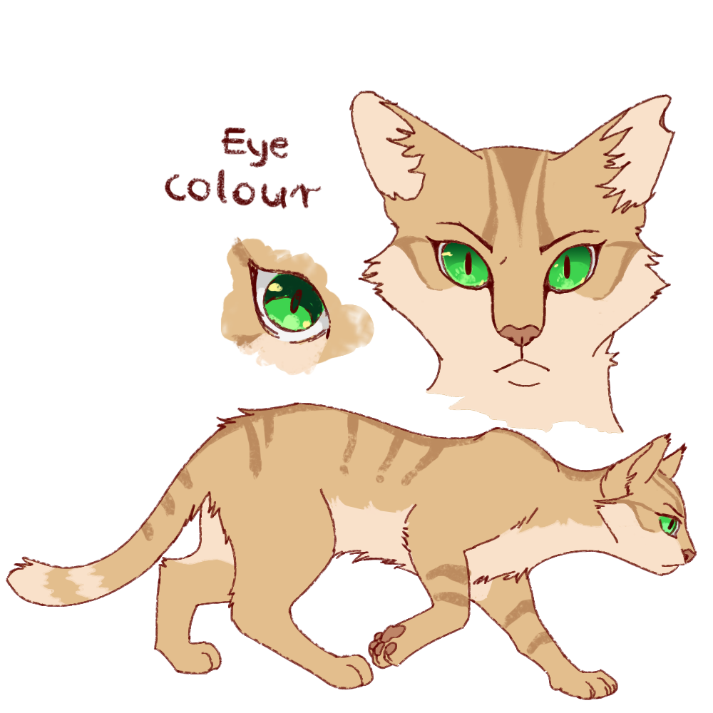 Sandstorm Scatterbug Pattern Sandstorm by Nikycookie23 on DeviantArt