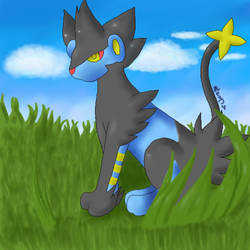 Luxray for Eilik