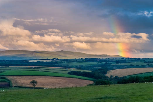 Dartmoor rainbow