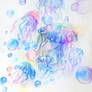 Jellyfishes