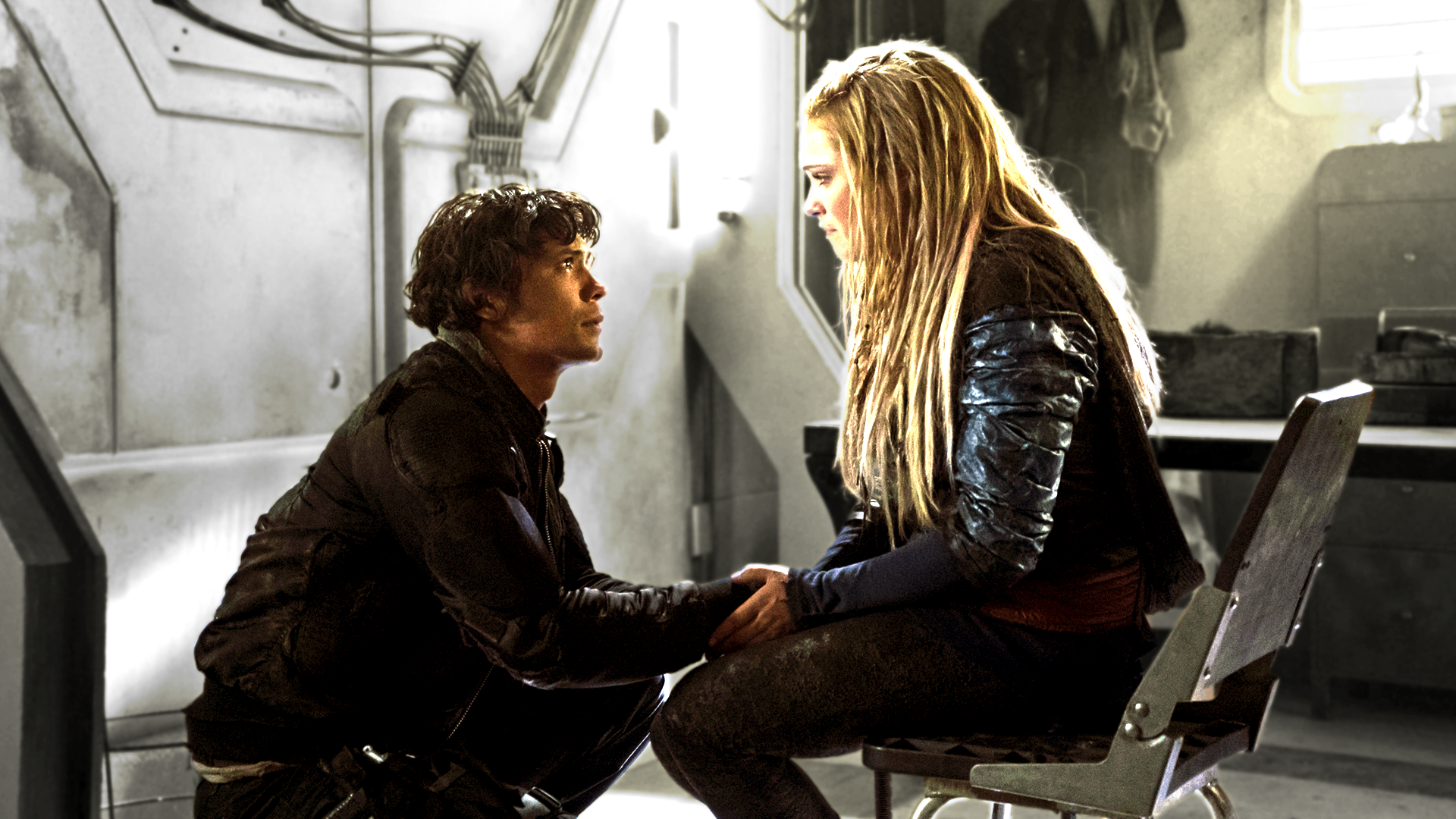 Bellarke sales