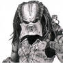 Predator allmost done