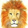 Watercolor lion