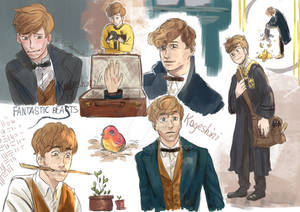 Newt Scamander sketch dump 2