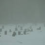 The silence of winter