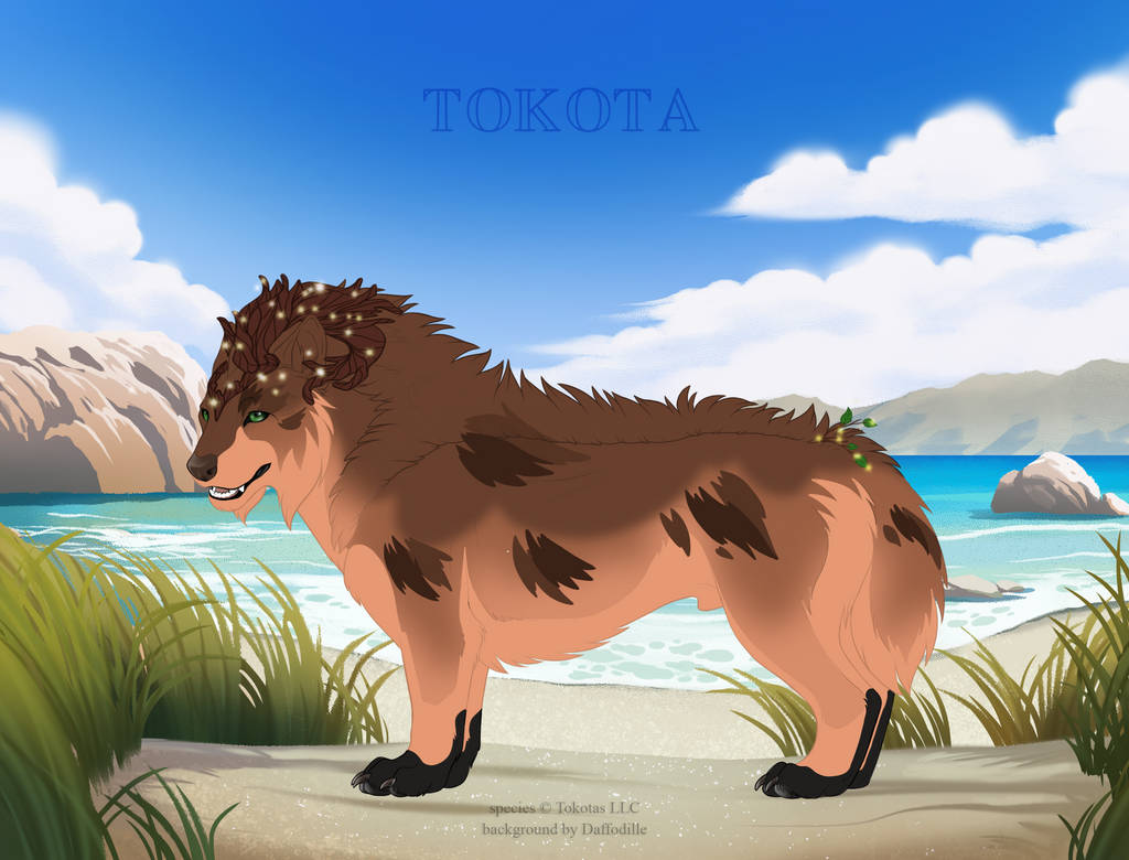 Design Central June 2021 Closed By Totemspirit On Deviantart Design Central Tokotas November 2022