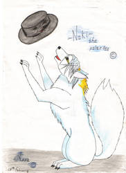 Noki-the polar fox