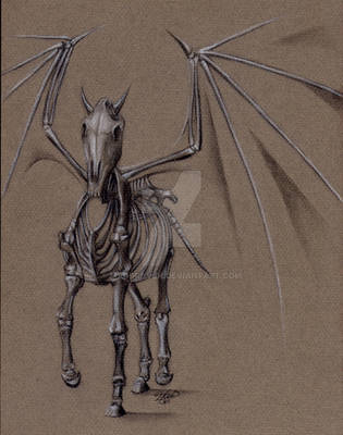 Thestral by MaddRaVen