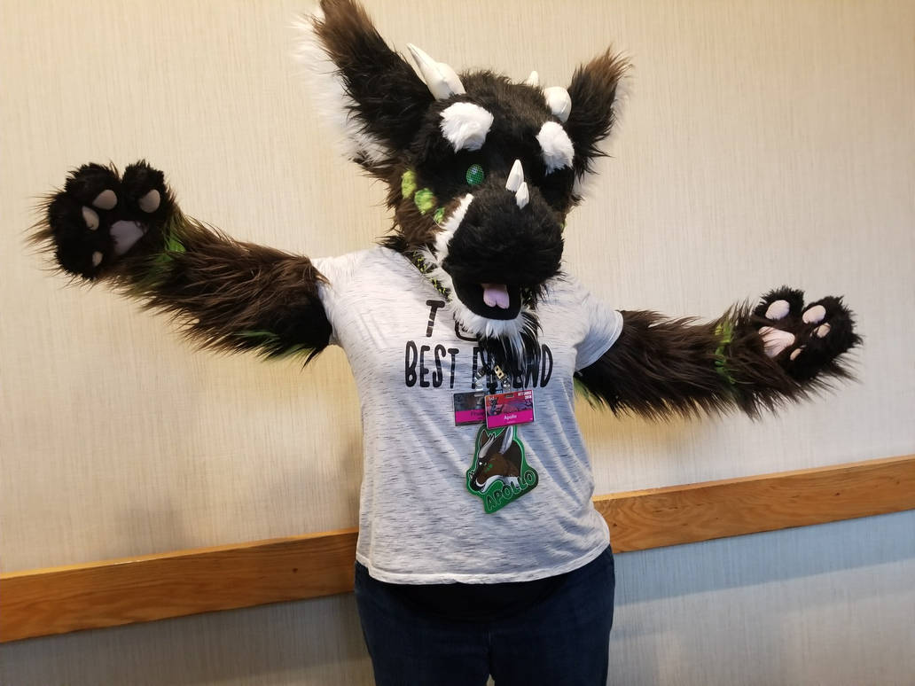 Apollo Dutchie Fursuit By ApolloDutchie On DeviantArt apollo-dutchie-fursuit-by-apollodutchie-on-deviantart