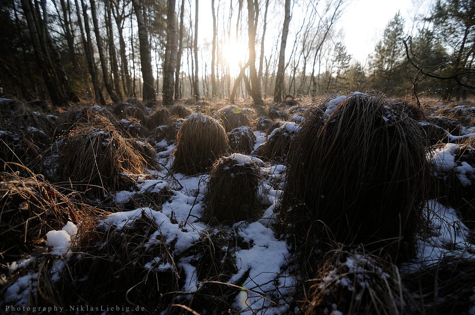 Bumpy things by NiklasLiebig on DeviantArt