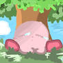 an afternoon nap!
