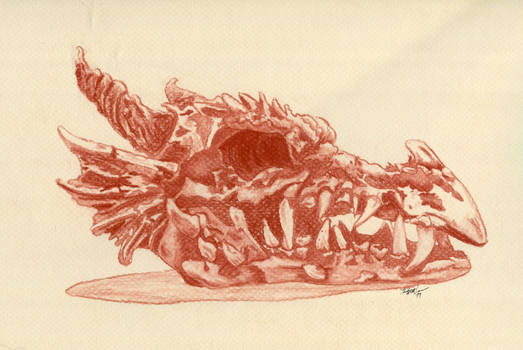 Dragon's Skull