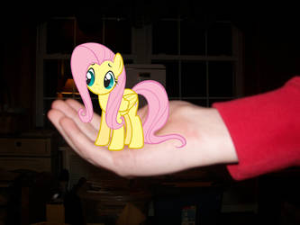 I would never harm you, Fluttershy.