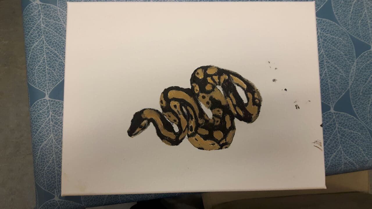 Python Painting