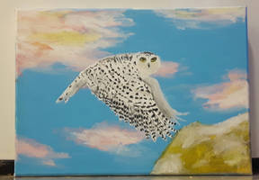 Snowy owl