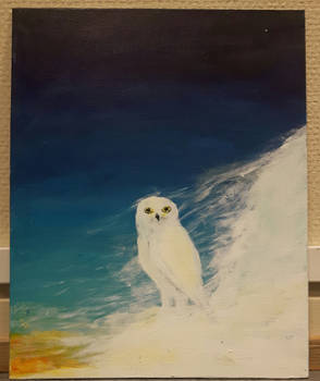 Snowy owl at dusk