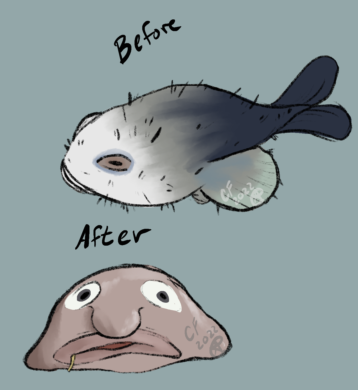 Blob Fish by chickenputartist on DeviantArt