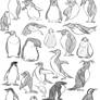 Animal Studies: Penguins