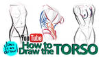 HOW TO DRAW THE MALE AND FEMALE TORSO - A tutorial by javicandraw