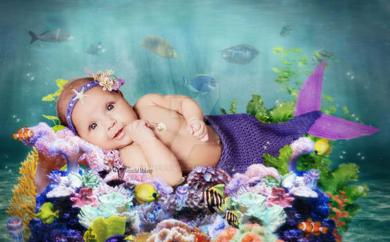 Baby Mermaid