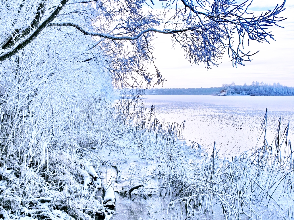 winter lake