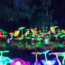 Chinese Lantern Festival Coy Pond