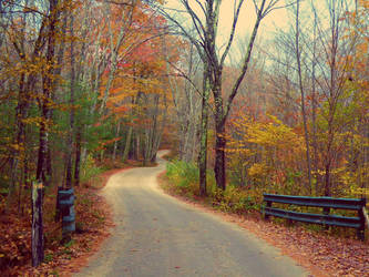 A Long Autumn Road