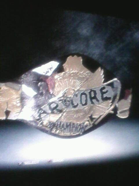 WWE '13: The Rumble Roses Hardcore Title by TheRumbleRoseNetwork on ...