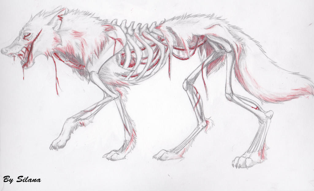 Zombie wolf