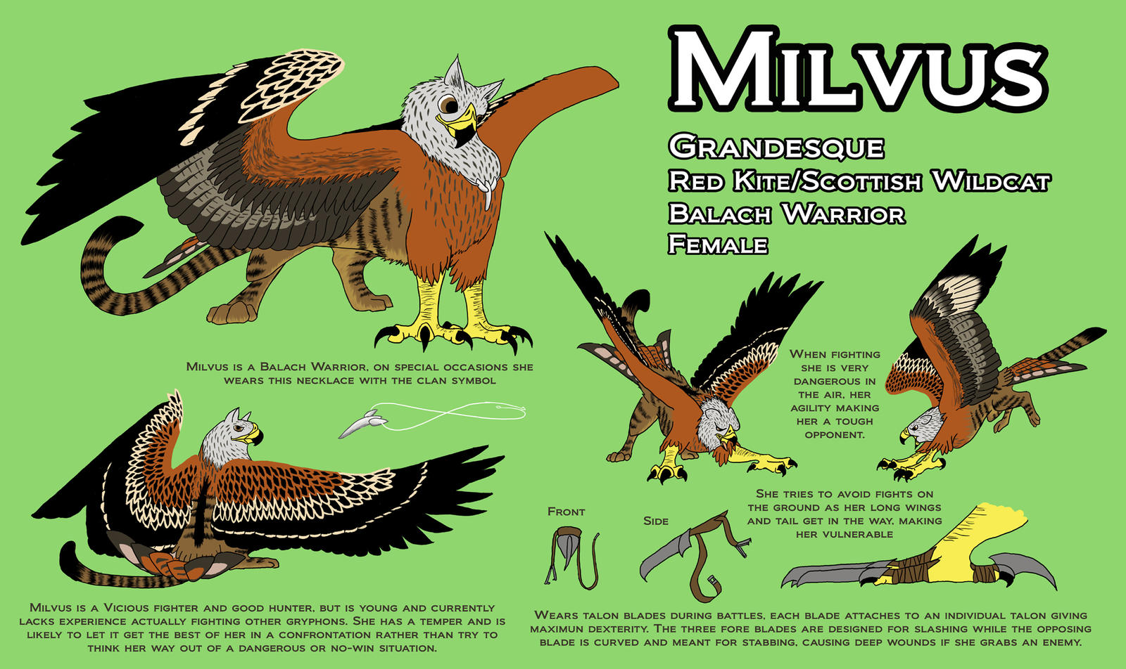 Windsonde - Adult Milvus