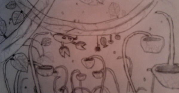 botanicula by KirigayaKazuto17 on DeviantArt