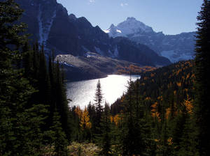 Mt Assiniboine