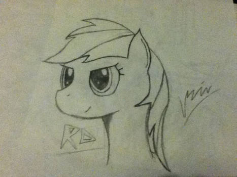 Rainbow Dash Sketch Gift