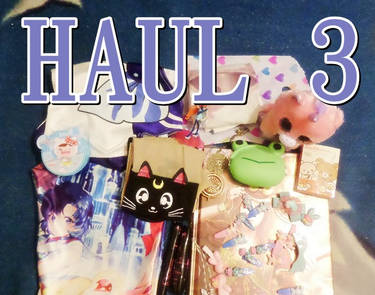 HAUL 3Video